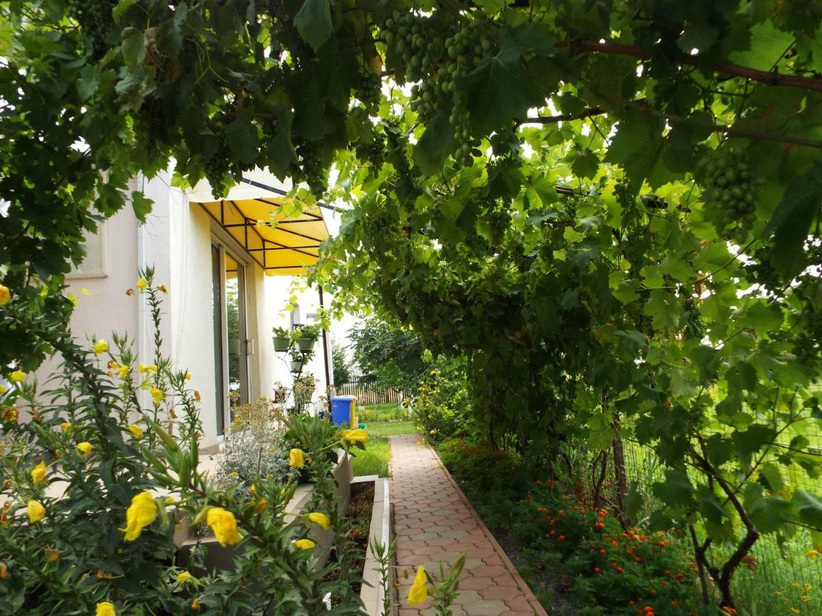 فندق Casa Dany كوربو المظهر الخارجي الصورة